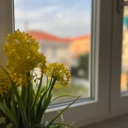 Casa Adele Apartment *